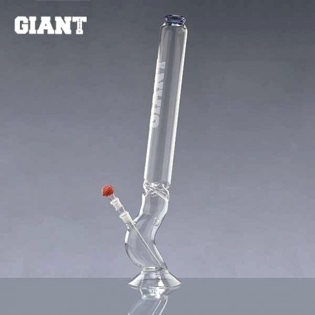 Giant Bolt 18,8er Schliff 73cm