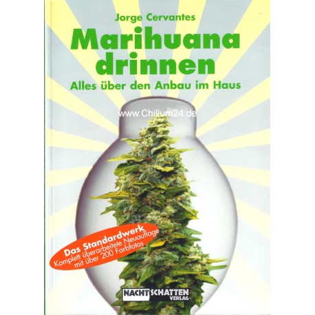 Buch Jorge Cervantes - Marihuana drinnen