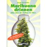 Buch Jorge Cervantes - Marihuana drinnen