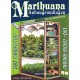 Marihuana Anbaugrundlagen von Jorge Cervantes