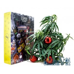 Clipper vs. Gizeh Adventskalender Special-Edition