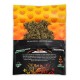 TÜTENFUTTER Kräutermischung 25 g ORANGE