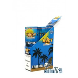 Box 25x Juicy Jay's Blunts TROPICAL 2er-Pack