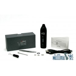 XMAX Vital Vaporizer für Kräuter