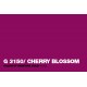 Montana Gold 400ml G3150 Cherry Blossom