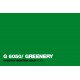 Montana Gold 400ml G6050 Greenery