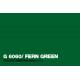 Montana Gold 400ml G6060 Fern Green