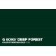 Montana Gold 400ml G6090 Deep Forest